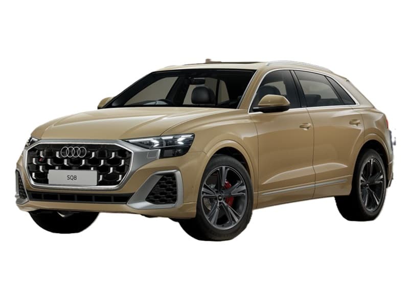 Sakhir Gold Metallic