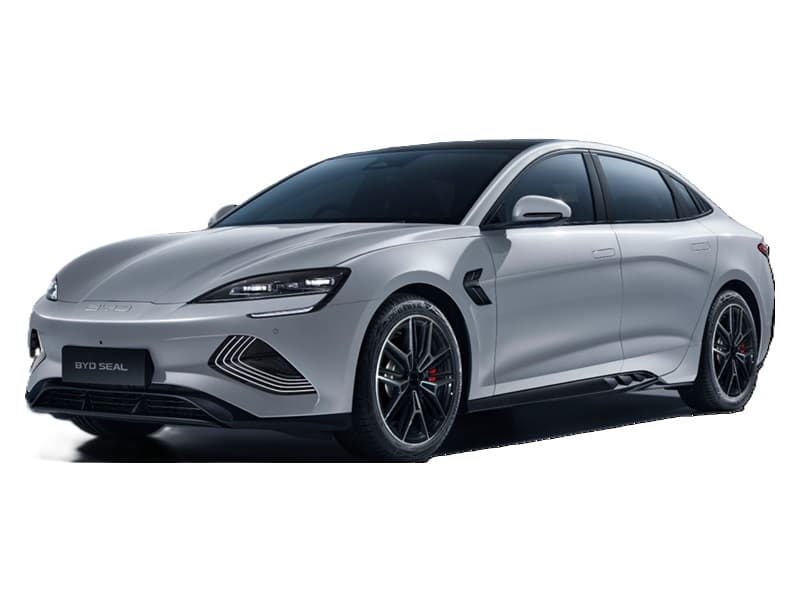Shark Gray