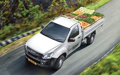 D Max