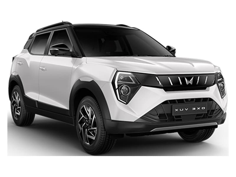Everest White Black