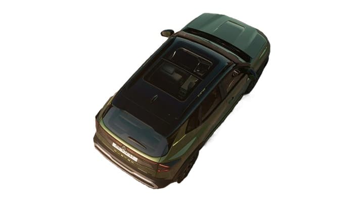 Duster Image 6