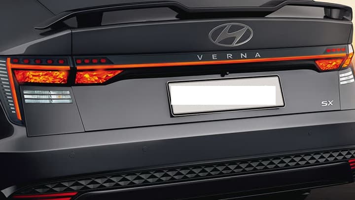 Verna Image 16