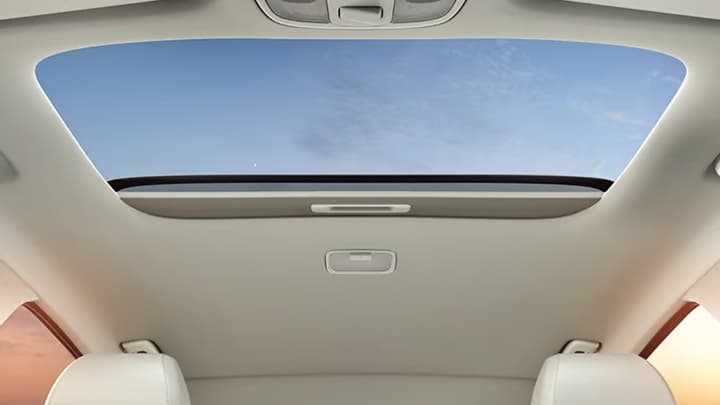Verna Image 18