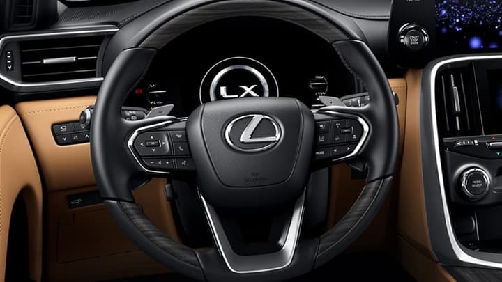 LX Image 8