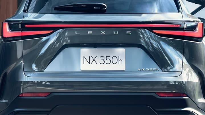 NX Image 12