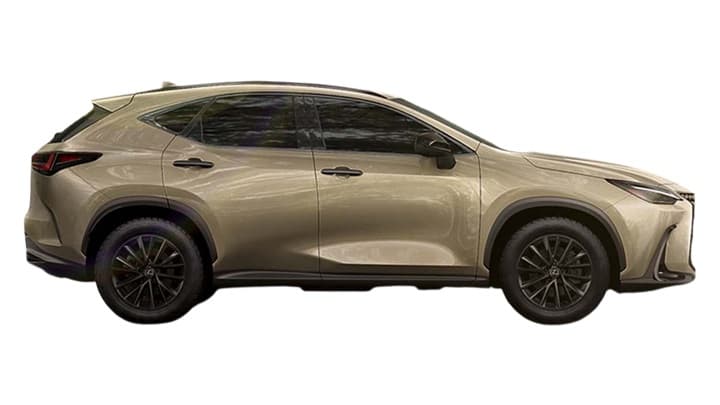 NX Image 4