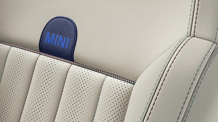 Countryman Electric Image 18